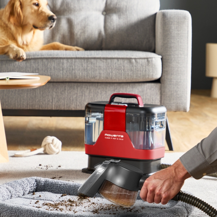Rowenta - Paklāju tīrītājs CLEAN IT HOT & COLD ANIMAL 1150W/230V