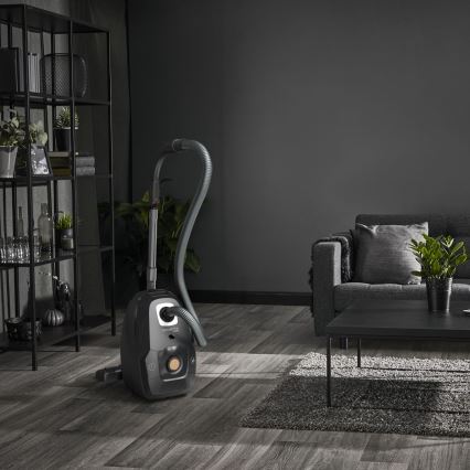 Rowenta - Putekļu sūcējs ar maisu ZAĻŠ FORCE EFFITECH ECO TOTAL CLEAN 400W/230V melna
