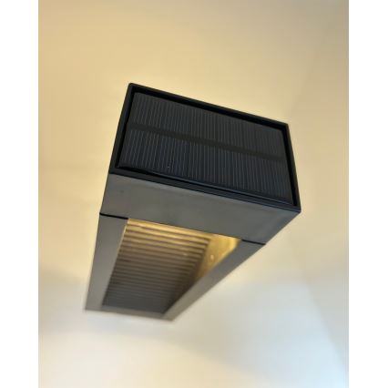 Saules LED lampa 2xLED/1,2V 200 mAh IP44 melna