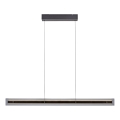 Schöner Wohnen 11316-18 - Dimmējama LED piekaramā lampa uz kabeļa LENA LED/32W/230V 105 cm melna