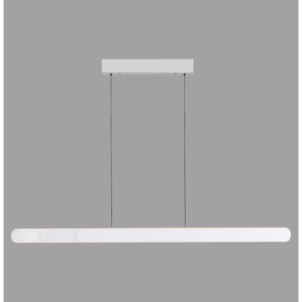 Schöner Wohnen 12577-16 - Regulējama LED lustra uz kabeļa ADRIANA ROUND 2xLED/24W/230V 2700/3000/3500/4000/5000K balta