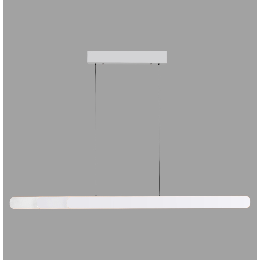 Schöner Wohnen 12577-16 - LED regulējama lustra ar trosi ADRIANA ROUND 2xLED/24W/230V 2700/3000/3500/4000/5000K 160 cm balta