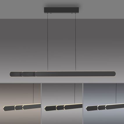 Schöner Wohnen 12577-18 - LED pakarināms gaismeklis ar regulējamu spilgtumu uz kabeļa ADRIANA ROUND 2xLED/24W/230V 2700/3000/3500/4000/5000K 160 cm melns