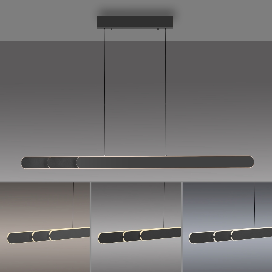 Schöner Wohnen 12577-18 - LED pakarināms gaismeklis ar regulējamu spilgtumu uz kabeļa ADRIANA ROUND 2xLED/24W/230V 2700/3000/3500/4000/5000K 160 cm melns