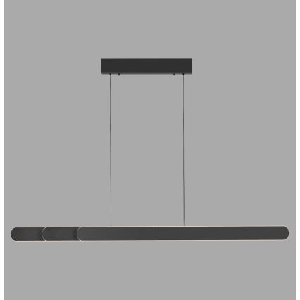 Schöner Wohnen 12577-18 - LED pakarināms gaismeklis ar regulējamu spilgtumu uz kabeļa ADRIANA ROUND 2xLED/24W/230V 2700/3000/3500/4000/5000K 160 cm melns