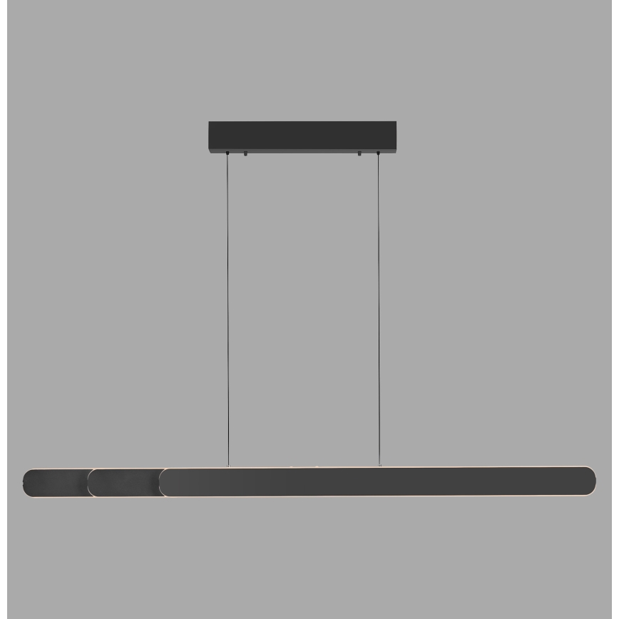 Schöner Wohnen 12577-18 - LED pakarināms gaismeklis ar regulējamu spilgtumu uz kabeļa ADRIANA ROUND 2xLED/24W/230V 2700/3000/3500/4000/5000K 160 cm melns