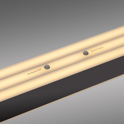 Schöner Wohnen 12577-18 - LED pakarināms gaismeklis ar regulējamu spilgtumu uz kabeļa ADRIANA ROUND 2xLED/24W/230V 2700/3000/3500/4000/5000K 160 cm melns