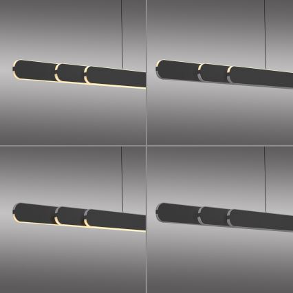 Schöner Wohnen 12577-18 - LED piekaramā lampa ar regulējamu spilgtumu uz kabeļa ADRIANA ROUND 2xLED/24W/230V 2700/3000/3500/4000/5000K melna