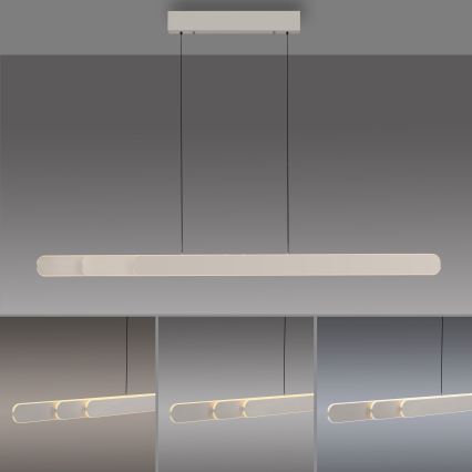 Schöner Wohnen 12577-39 - Regulējama LED pakaramā lampa uz troses ADRIANA ROUND 2xLED/24W/230V 2700/3000/3500/4000/5000K 160 cm pelēka