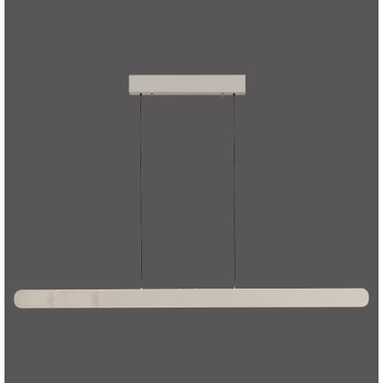 Schöner Wohnen 12577-39 - Regulējama LED pakaramā lampa uz troses ADRIANA ROUND 2xLED/24W/230V 2700/3000/3500/4000/5000K 160 cm pelēka