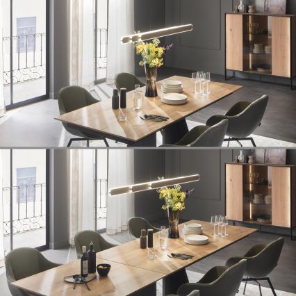 Schöner Wohnen 12577-39 - LED regulējamā pakarināmā lampa ar kabeli ADRIANA ROUND 2xLED/24W/230V 2700/3000/3500/4000/5000K pelēka