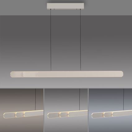 Schöner Wohnen 12577-39 - LED regulējamā pakarināmā lampa ar kabeli ADRIANA ROUND 2xLED/24W/230V 2700/3000/3500/4000/5000K pelēka