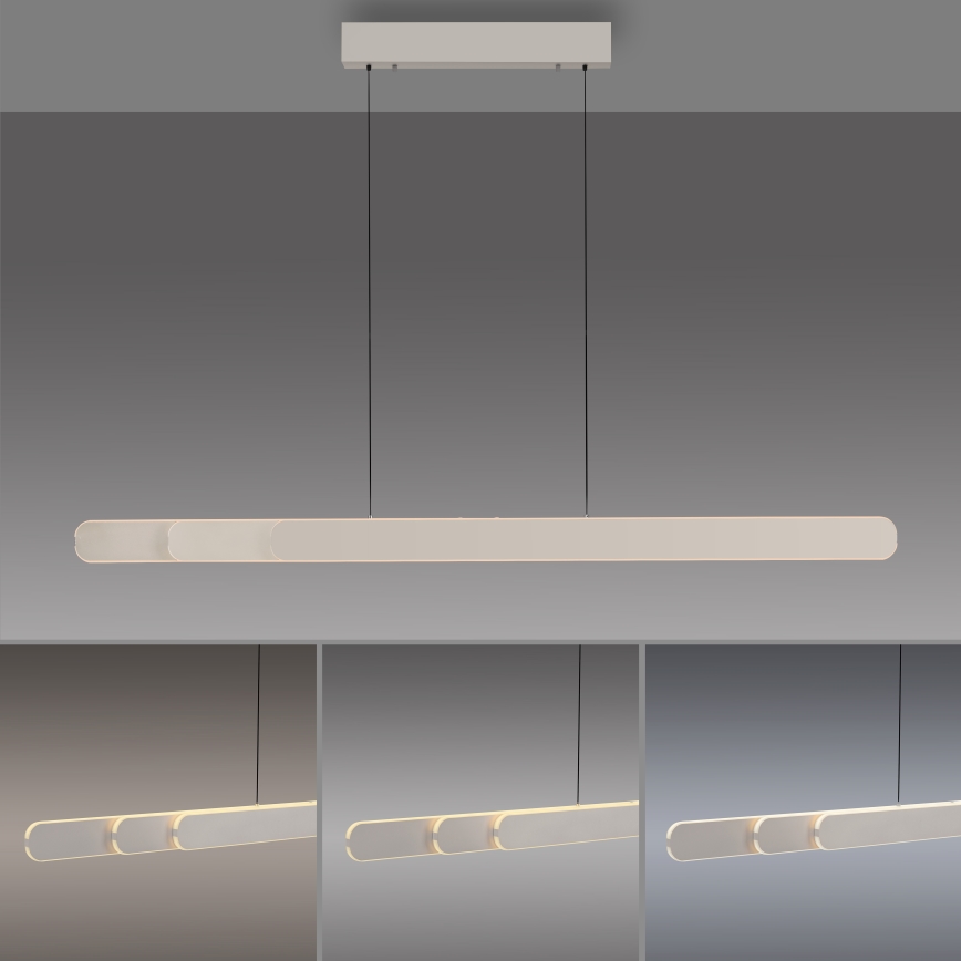 Schöner Wohnen 12577-39 - LED regulējamā pakarināmā lampa ar kabeli ADRIANA ROUND 2xLED/24W/230V 2700/3000/3500/4000/5000K pelēka