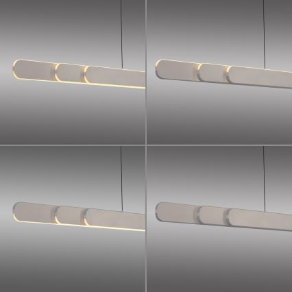 Schöner Wohnen 12577-39 - LED regulējamā pakarināmā lampa ar kabeli ADRIANA ROUND 2xLED/24W/230V 2700/3000/3500/4000/5000K pelēka