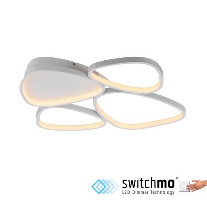 Schöner Wohnen 14038-16 - LED dimmējams griestu gaismeklis PEBBLES LED/35,5W/230V balts