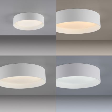 Schöner Wohnen 14593-16 - LED dimmējams griestu gaismeklis TAVOLI LED/10W/230V 2700-6500K pr. 28,5 cm balts + tālvadības pults