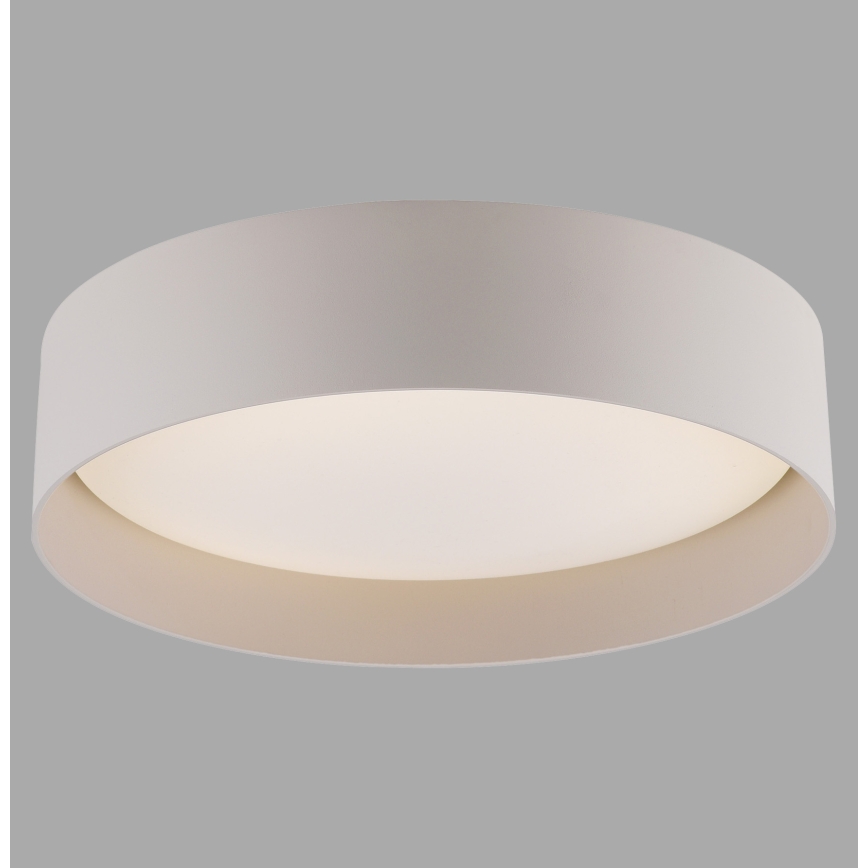 Schöner Wohnen 14593-39 - LED aptumšojama griestu lampa TAVOLI LED/10W/230V 2700-6500K Ø 28,5 cm pelēka + tālvadība