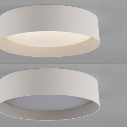 Schöner Wohnen 14593-39 - LED aptumšojama griestu lampa TAVOLI LED/10W/230V 2700-6500K Ø 28,5 cm pelēka + tālvadība