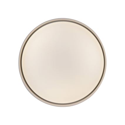 Schöner Wohnen 14593-39 - LED aptumšojama griestu lampa TAVOLI LED/10W/230V 2700-6500K Ø 28,5 cm pelēka + tālvadība