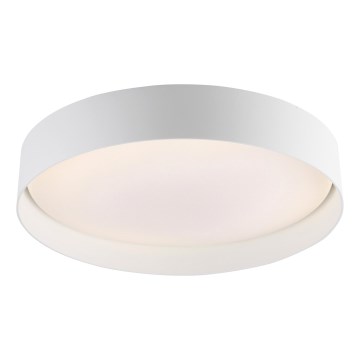 Schöner Wohnen 14594-16 - aptumšojama LED griestu lampa TAVOLI LED/20W/230V 2700–6500K Ø 39 cm balta + tālvadība