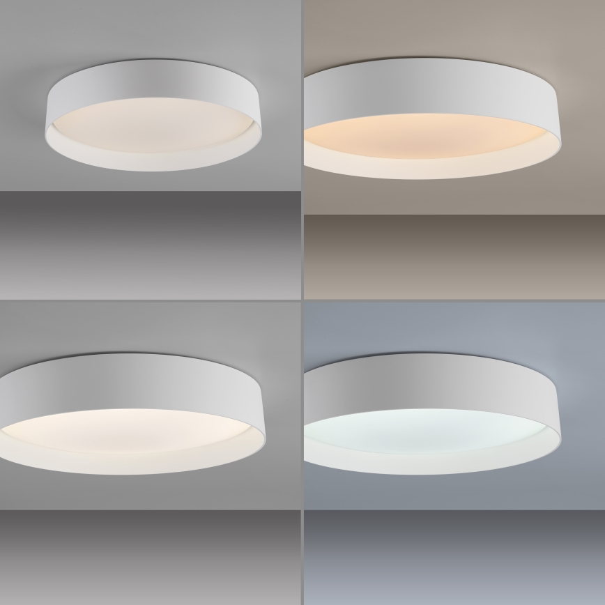 Schöner Wohnen 14594-16 - aptumšojama LED griestu lampa TAVOLI LED/20W/230V 2700–6500K Ø 39 cm balta + tālvadība