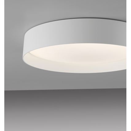 Schöner Wohnen 14594-16 - aptumšojama LED griestu lampa TAVOLI LED/20W/230V 2700–6500K Ø 39 cm balta + tālvadība
