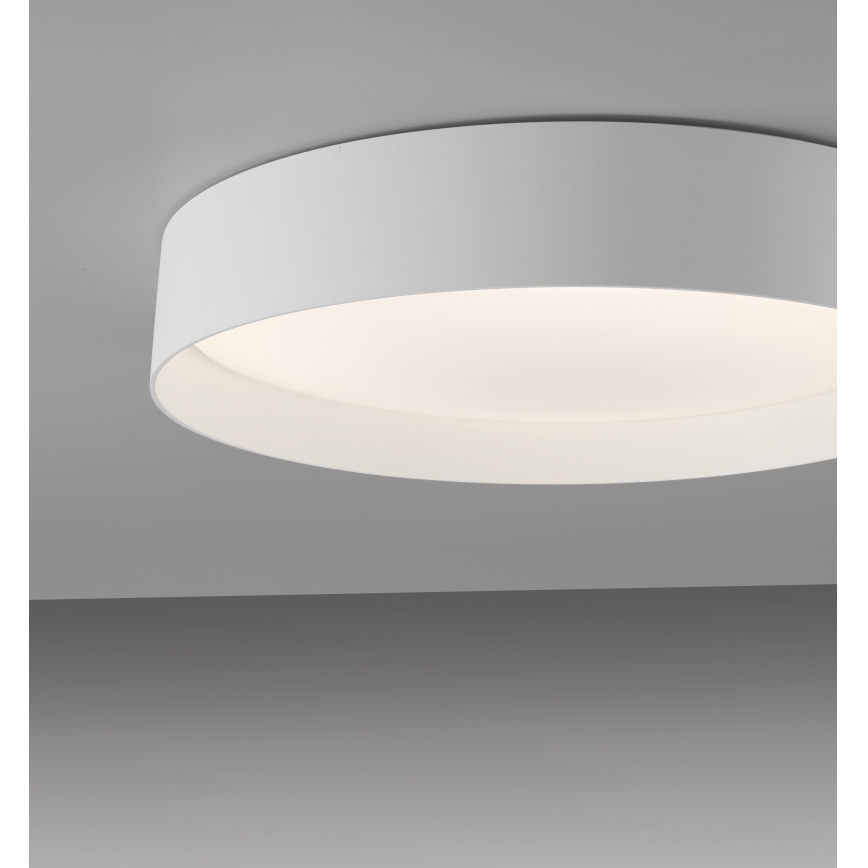 Schöner Wohnen 14594-16 - aptumšojama LED griestu lampa TAVOLI LED/20W/230V 2700–6500K Ø 39 cm balta + tālvadība