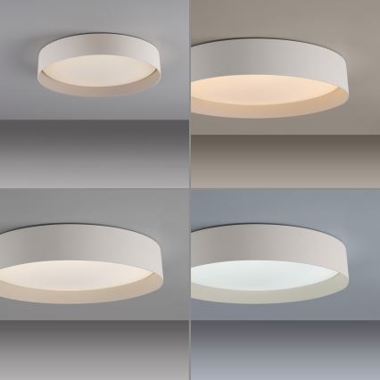 Schöner Wohnen 14594-39 - LED griestu gaismeklis TAVOLI ar regulējamu spilgtumu LED/20W/230V 2700-6500K Ø 39 cm pelēks + tālvadība