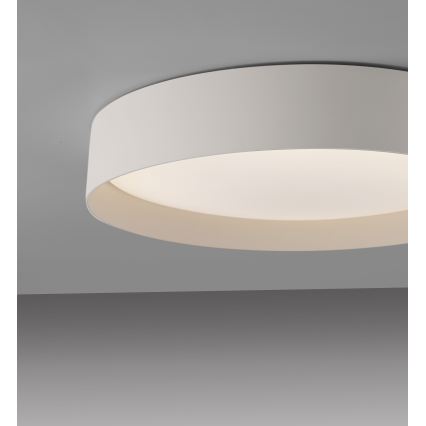 Schöner Wohnen 14594-39 - LED griestu gaismeklis TAVOLI ar regulējamu spilgtumu LED/20W/230V 2700-6500K Ø 39 cm pelēks + tālvadība