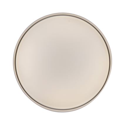 Schöner Wohnen 14594-39 - LED griestu gaismeklis TAVOLI ar regulējamu spilgtumu LED/20W/230V 2700-6500K Ø 39 cm pelēks + tālvadība