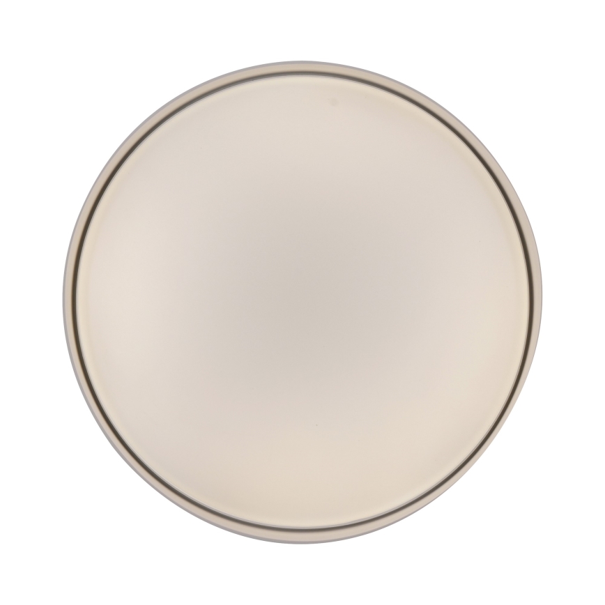 Schöner Wohnen 14594-39 - LED griestu gaismeklis TAVOLI ar regulējamu spilgtumu LED/20W/230V 2700-6500K Ø 39 cm pelēks + tālvadība