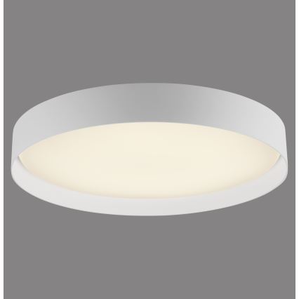 Schöner Wohnen 14595-16 - LED dimējams griestu gaismeklis TAVOLI LED/34W/230V 2700-6500K Ø 49 cm balts + tālvadības pults