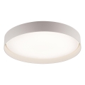 Schöner Wohnen 14595-39 - Dimmējams LED griestu gaismeklis TAVOLI LED/34W/230V 2700-6500K Ø 49 cm, pelēks, ar tālvadības pulti