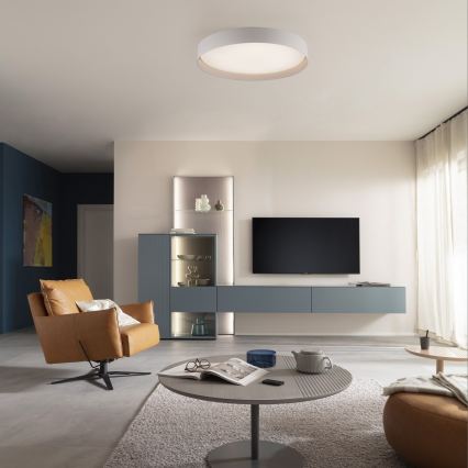 Schöner Wohnen 14595-39 - Dimmējams LED griestu gaismeklis TAVOLI LED/34W/230V 2700-6500K Ø 49 cm, pelēks, ar tālvadības pulti