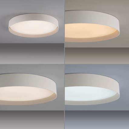 Schöner Wohnen 14595-39 - Dimmējams LED griestu gaismeklis TAVOLI LED/34W/230V 2700-6500K Ø 49 cm, pelēks, ar tālvadības pulti