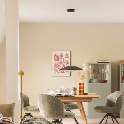 Schöner Wohnen 14606-18 - LENTE LED pakaramais gaismeklis uz vada, ar regulējamu spilgtumu, LED/17W/230V, Ø 40 cm, melns