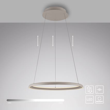 Schöner Wohnen 15570-39 - QUILLO regulējams LED pakaramais gaismeklis ar regulējamu spilgtumu, LED/36W/230V, Ø 60 cm, pelēks