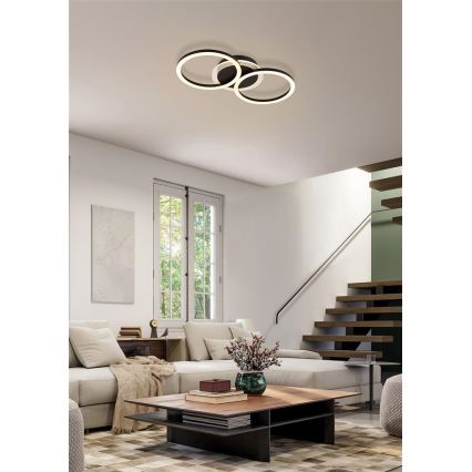 Searchlight - Regulējama LED griestu lampa CONTOUR LED/24W/230V 3000K