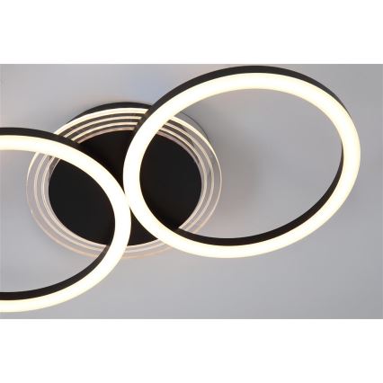 Searchlight - Regulējama LED griestu lampa CONTOUR LED/24W/230V 3000K