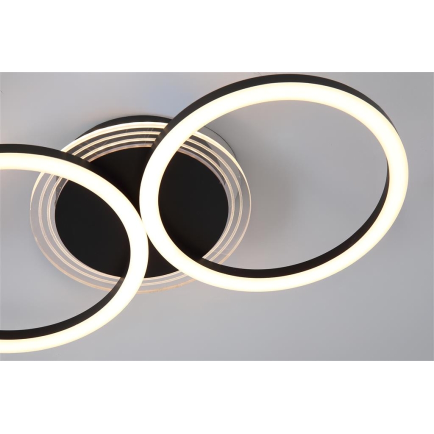 Searchlight - Regulējama LED griestu lampa CONTOUR LED/24W/230V 3000K