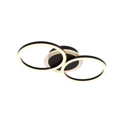 Searchlight - Regulējama LED griestu lampa CONTOUR LED/24W/230V 3000K