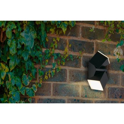 Searchlight - LED āra sienas gaismeklis MONTANA 2xLED/6W/230V IP44