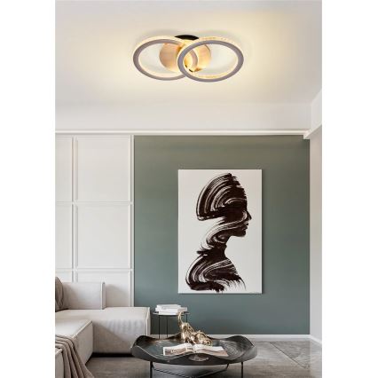 Searchlight - LED dimmējams griestu gaismeklis SPECS LED/24W/230V 3000K 25x42,5 cm