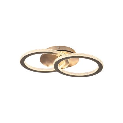 Searchlight - LED dimmējams griestu gaismeklis SPECS LED/24W/230V 3000K 25x42,5 cm