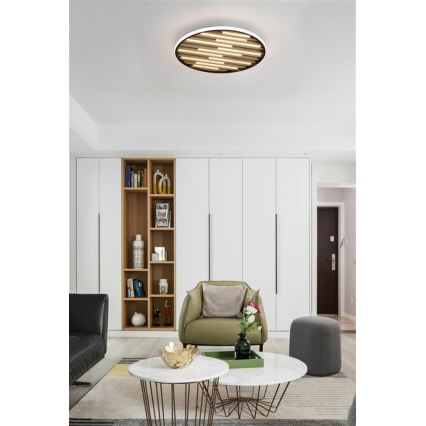 Searchlight - LED dimmējams griestu gaismeklis EQUALISE LED/33W/230V