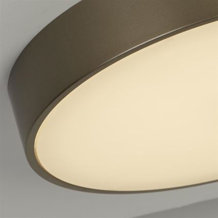 Searchlight - LED griestu gaismeklis PALMA LED/12W/230V 3000K Ø 25 cm, bronzas krāsā