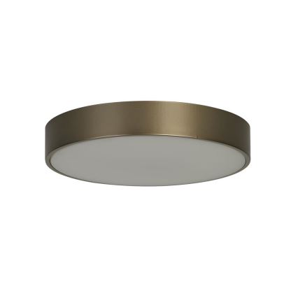 Searchlight - LED griestu gaismeklis PALMA LED/12W/230V 3000K Ø 25 cm, bronzas krāsā