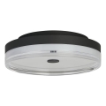 Searchlight - LED griestu gaismeklis CYPRUS LED/21W/230V Ø 30 cm melns