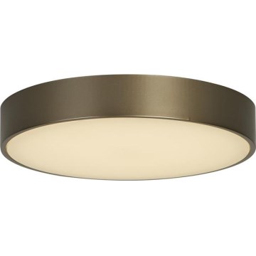 Searchlight - LED griestu gaismeklis PALMA LED/12W/230V 3000K Ø 25 cm, bronzas krāsā