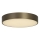 Searchlight - LED griestu gaismeklis PALMA LED/12W/230V 3000K Ø 25 cm, bronzas krāsā